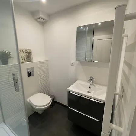 Aux Portes De Toulouse Climatise & Parking * LʼUnion