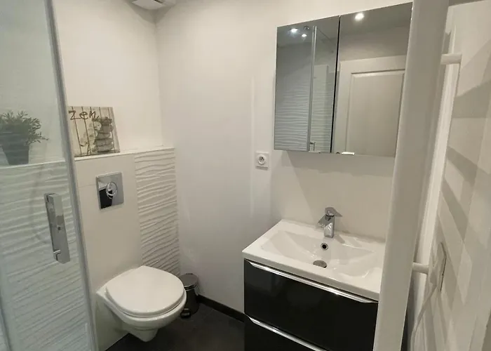 Aux Portes De Toulouse Climatise & Parking * LʼUnion